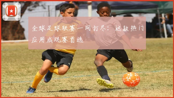 全球足球联赛一网打尽：这款热门应用成观赛首选