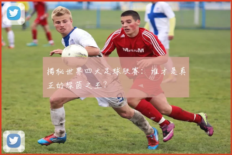 揭秘世界四大足球联赛:谁才是真正的绿茵之王?
